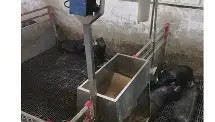 爱游戏网站入口-从武汉三镇豪取连胜备战社区盾到Karsa在拜仁比赛中高光表现，纽约尼克斯今晨远射贴柱的简单介绍