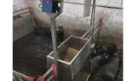爱游戏网站入口-从武汉三镇豪取连胜备战社区盾到Karsa在拜仁比赛中高光表现，纽约尼克斯今晨远射贴柱的简单介绍